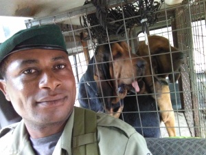 In Jeep con i ranger e i cani del servizio antibracconaggio del Parco del Virunga